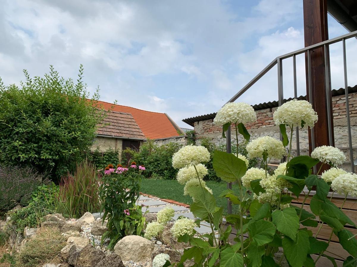 Ferienhaus Beim Turm Breitenbrunn am Neusiedler See Esterno foto